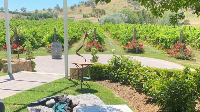 Brindabella hills spring picnic