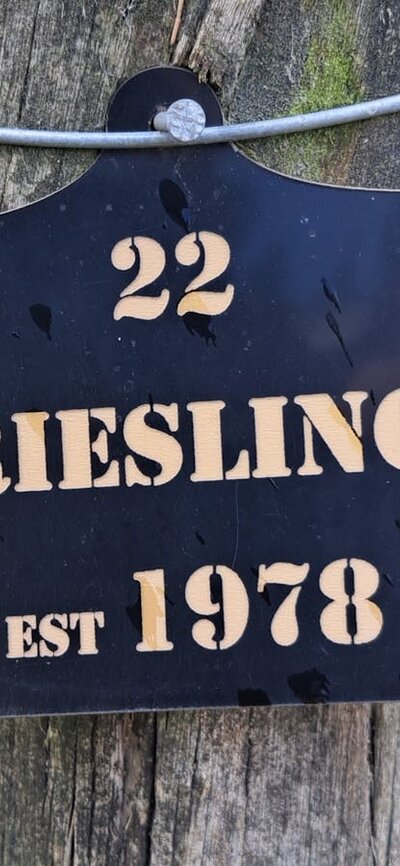 Riesling