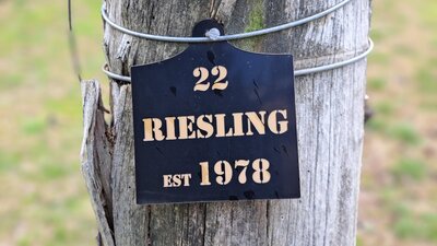 Riesling