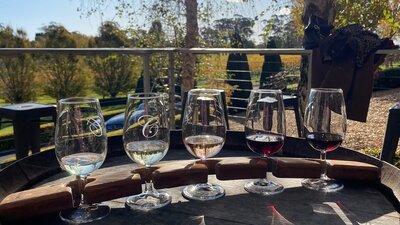 Wine Paddle at Centennial Vineyards,  Vino Rosso Tours