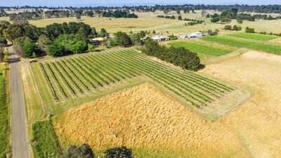 Enjoy the rural surrounds of the Canberra cool climate wine region