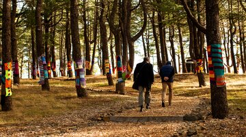 Warm trees at the National Arboretum Canberra | © Kara Rosenlund Trees in the National Arboretum Canberra in handmade knitted wraps to celebrate 'Warm Trees' during winter months. | © Kara Rosenlund
