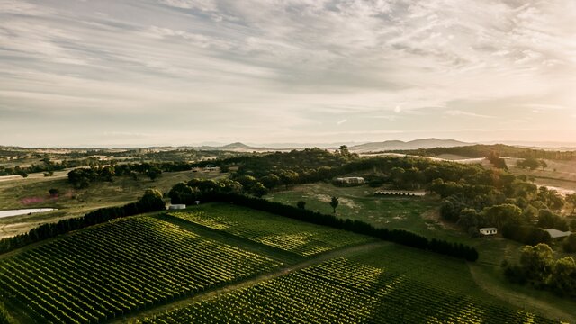 Tallagandra Hill Winery | © Camilla Duffy Drone image of Tallagandra Hill Winery vineyards at sunset | © Camilla Duffy