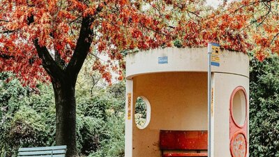 © @snapsbysal Image of an iconic Canberra bus stop in an autumn leaf covered street | © @snapsbysal
