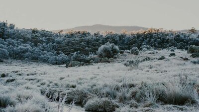 © @laurenlsutton Image of frost covering the ground at Namadgi National Park | © @laurenlsutton