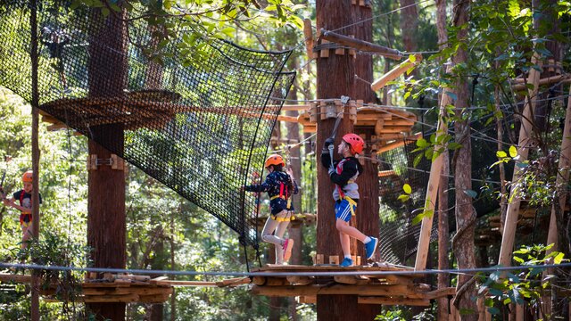 Two children completing an obstacle course in a forrest.