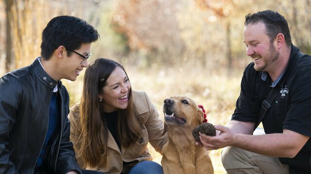 A truffle farm owner, truffle dog and tour participants finding a truffle from the ground.