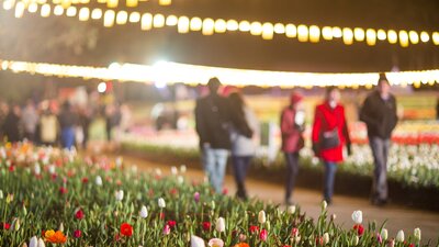 people walking through gardens lit up by fairy lights