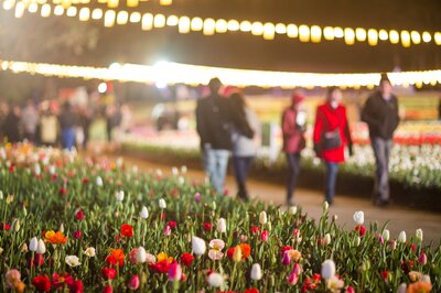 people walking through gardens lit up by fairy lights
