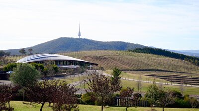 Panoramic view of the National Arboretum Canberra featuring a rolling landscape of lush green hills dotted with a diverse array of trees and shrubs.