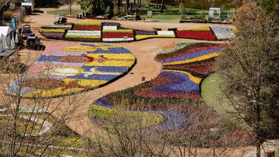 View of floral patterns from above