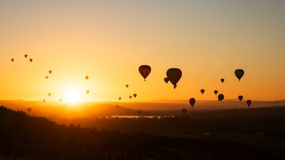 Many hot air balloons drifting through the sky during sunrise