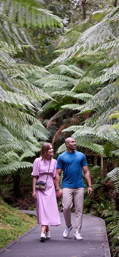 Couple walking along path surrounded by large, green ferns.