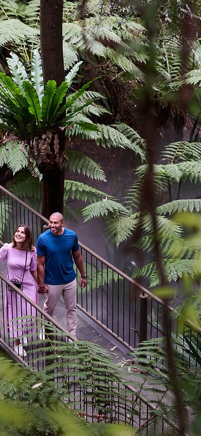 Couple walking across bridge surrounded by large, green ferns.