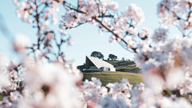 National Arboretum Canberra in Spring Pink blossoms in foreround with Margaret Whitlam Pavilion in background