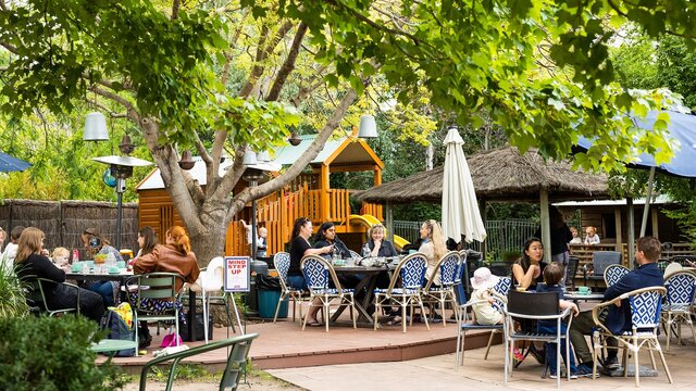 Several outdoor tables of groups eating a meal with a children's playground behind.