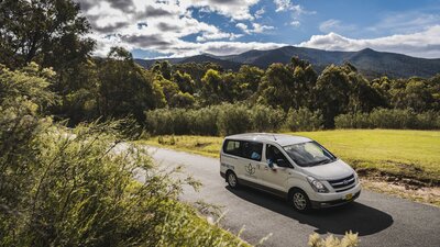 A white van in front of a nature background