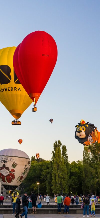 Various shapes and sizes of hot air balloons near the grounds with people watching the balloons