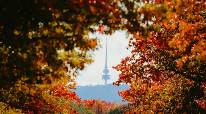 The Top Four Spots to Photograph Canberra’s Autumn Leaves | VisitCanberra