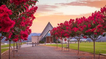 Bright red autumn leaves on trees in a neat line