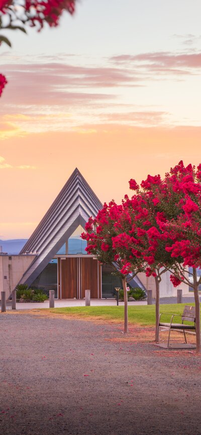 Bright red autumn leaves on trees in a neat line