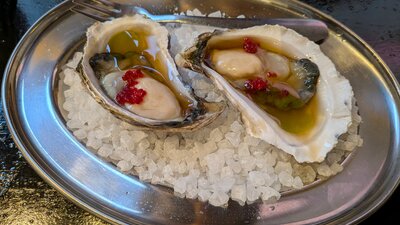 Corella Bar oysters photo taken by National Folk Festival performer Natalie Haas