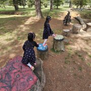 Children playing at Haig Park Nature Playground