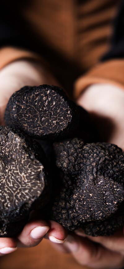 Two hands holding many truffles