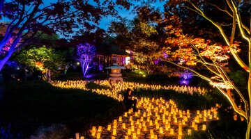 2000 candles shimmering around a sculpture and trees