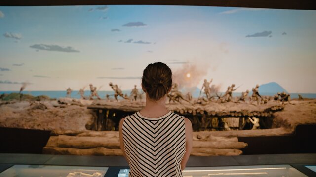 A woman looking at an exhibition depicting a war scene.