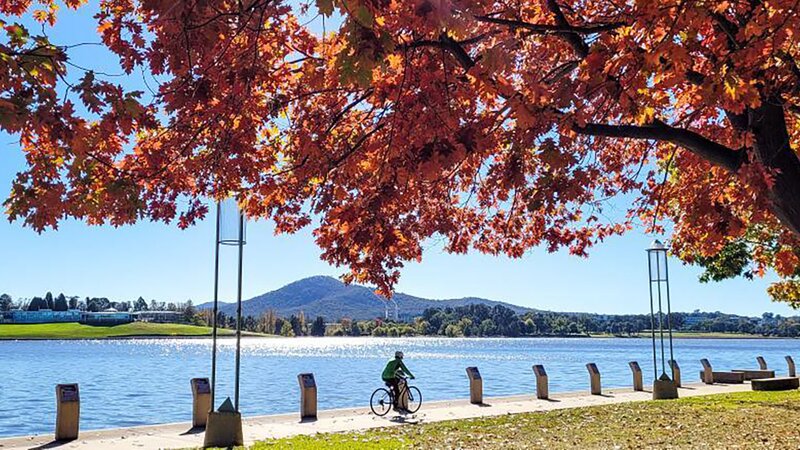 What's on in Canberra this autumn | VisitCanberra