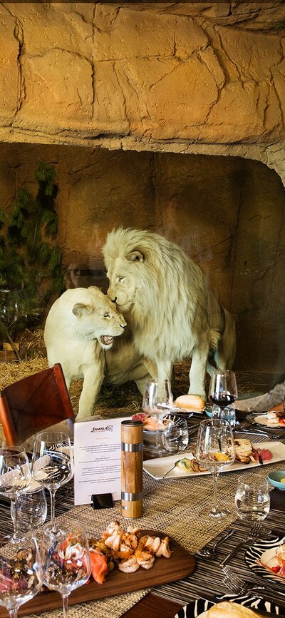 A family eating dinner near lions.