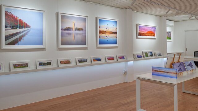 Artwork on display at the Scott Leggo gallery.