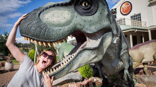 National Dinosaur Museum