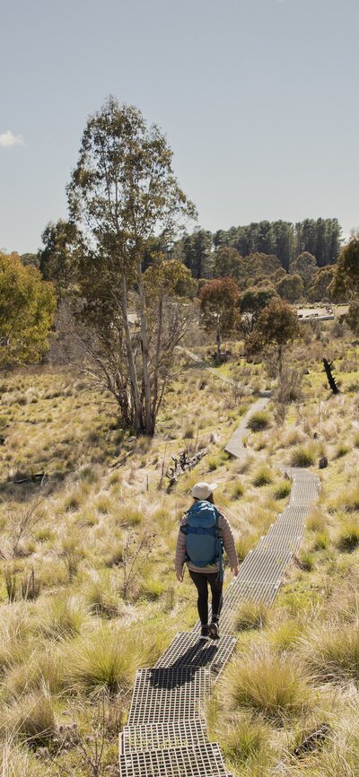 Person hiking through Namadgi National Park