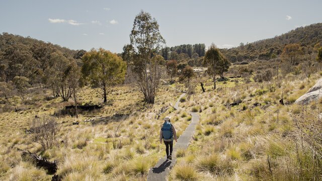 Person hiking through Namadgi National Park