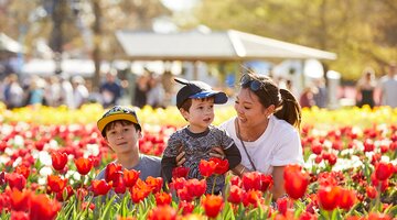 A family amongst the tulip flowers during Floriade.