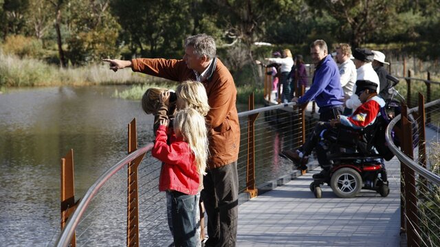Wheelchair accessible viewing platform at Tidbinbilla.