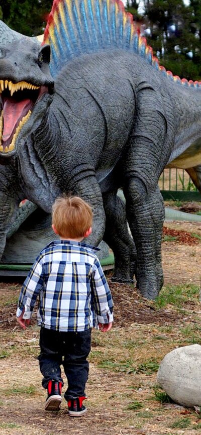 boy walking up to large model dinosaurs