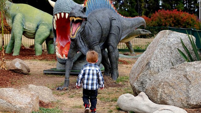 boy walking up to large model dinosaurs