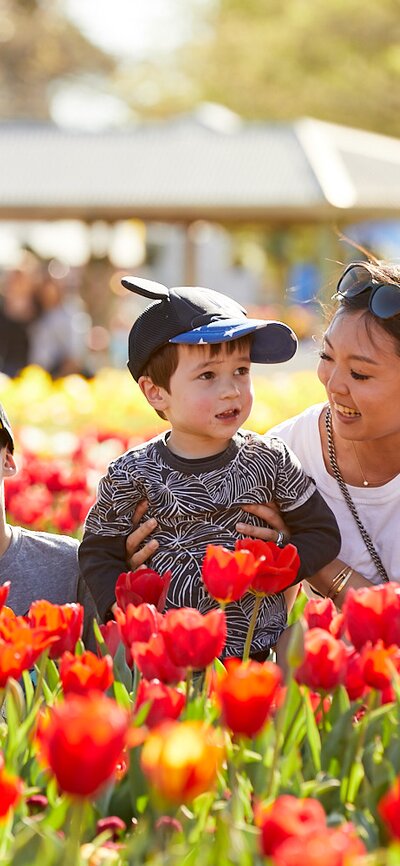A mum and two sons posing for a photo amongst a sea of red tulips.