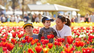A mum and two sons posing for a photo amongst a sea of red tulips.