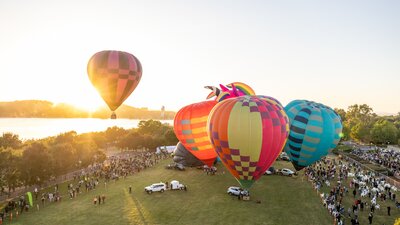Colourful hot air balloons on a lawn