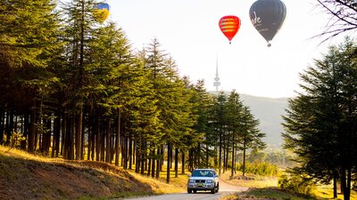 Hot air balloons rising over the National Arboretum.