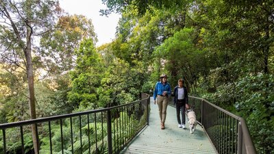 Tour of the National Botanical Gardens being conducted with a guide dog present.