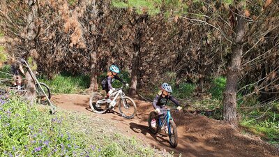 Three kids riding bikes on an outdoor trail with trees in the background.