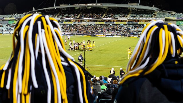 Two women wearing yellow, white and black wigs watching the rugby.