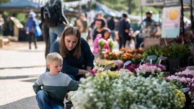 Haig park village market at Braddon