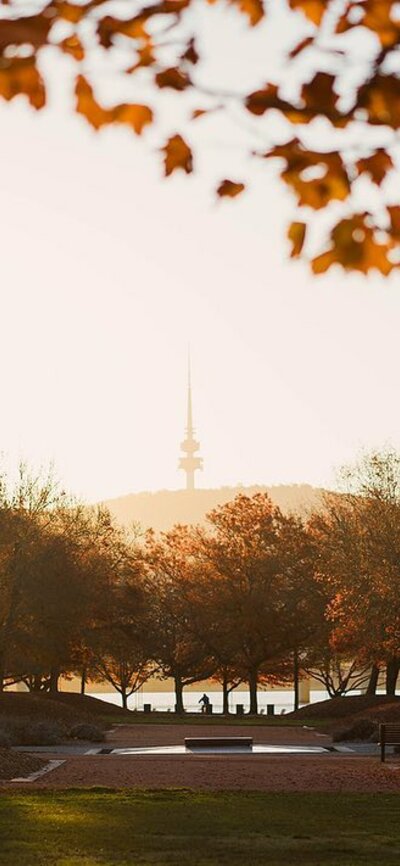Landscape shot of Canberra's autumn leaves