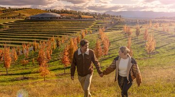 Couple walking past trees in autumn